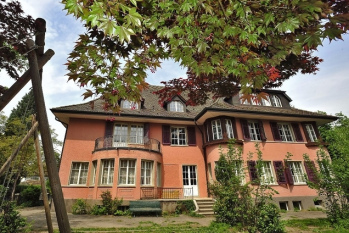 Tatort Steiner-Schule Langenthal
                    [3]: Probleme werden mit "Karma" begr�ndet
                    und nie gel�st, sondern Menschen werden
                    "abgeschossen" - Hauptt�tierin: Die Frau
                    Geigenkratzerin Barbara Witschi, die wahrscheinlich
                    auch im Geheimdienst NDB t�tig ist - und noch viele
                    denken so - um Opfern die Karriere kaputtzumachen -
                    das gef�llt den kriminellen Schweinzern einfach -
                    auch Anw�lte, Politiker und Journalisten
                    "arbeiten" in der kriminellen Schweinz so,
                    seit sie die j�dischen Gelder 1945 als
                    Kriegsgewinnler alle eingestrichen haben! Sie sagen
                    einfach "Karma" und klauen die
                    Milliarden!