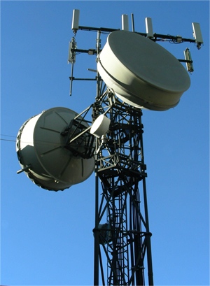 Handyantennen stehen im Verdacht, nicht
                          nur den Menschen Beschwerden zu bereiten,
                          sondern auch die Bienenv�lker zu sch�digen