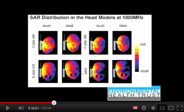 1800 MHz:
              Ein Handy verstrahlt den Kopf eines Kindes mehr als beim
              Erwachsenen, aber insgesamt weniger als 900 MHz.