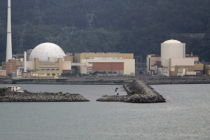 Das ist
                        Angra 2. Und so soll Angra 3 einmal aussehen.