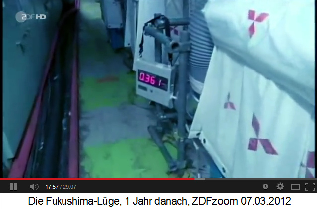 Ein Messger�t im Atomkraftwerk
                Fukushima Daiichi zeigt 252 bis 386 an, hier 361