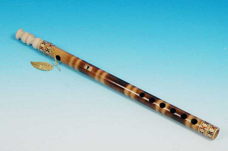 ... resolló por una flauta y
detectó que también puede sonar bien su voz ... ... resolló por una
flauta y detectó que también puede sonar bien su
voz ...