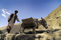 Los burros de carga fueron
lentos y el jefe se enervó mucho de ellos, pero un
asno reclamó la revolución y la fuga, porque
trabajaban bajo de malos condiciones ... Los
burros de carga fueron lentos y el jefe se enervó
mucho de ellos, pero un asno reclamó la revolución
y la fuga, porque trabajaban bajo de malos
condiciones ...