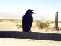 Un
                        cuervo cant� y perdi� su queso al zorro.