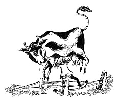 Auf einem Ausflug hebt Pippi Langstrumpf eine
                      Kuh aus dem Weg