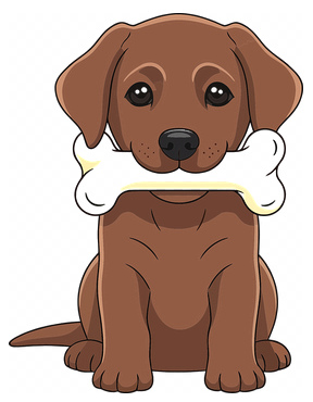 Hund mit Chnoche Hund mit Chnoche