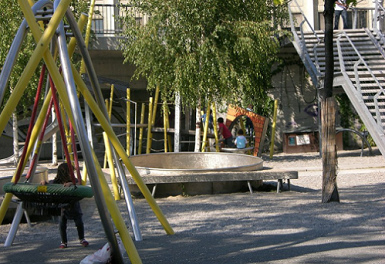 Tree protection 03 with a rush mat
                              around a tree in Dreirosenanlage (Three
                              Roses Park) in Basel