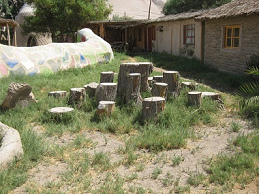 Bollard jumping 01
                                on Hari Krishna Farm "Eco
                                Truly" in Lluta Valley near Arica
                                in Chile