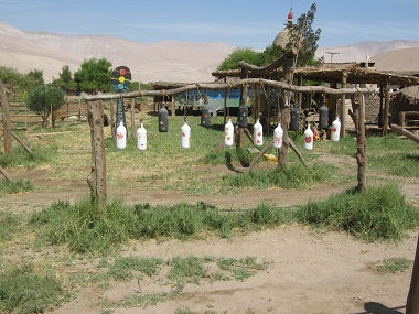 Bottle xylophone 02 on the playground
                              of Hari Krishna farm "Eco Truly"
                              in Lluta Valley near Arica in Chile
