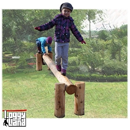 Balancing trunks 03 with
                                      cemented poles, LoggyLand,
                                      Germany