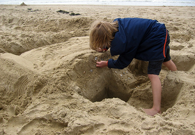 Cavar en la arena 02
                              en el Mar del Norte en Holanda