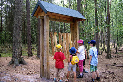 Dendr�fono 02 en
                                  Neuenkirchen en Baja Sajonia en
                                  Alemania