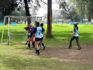 Campo salvaje de f�tbol
                          en un c�sped de la casa de juegos Medinghoven
                          en Bonn, Alemania
