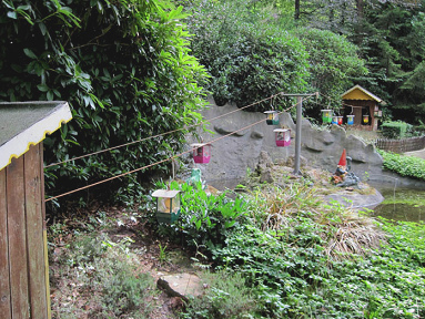 Märchenwald Ibbenbüren, eine Seilbahn
nur für Zwerge Märchenwald Ibbenbüren,
eine Seilbahn nur für Zwerge