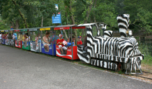 Parkeisenbahn 01, im Park
"Seeteufel" in Studen bei Biel,
Schweiz Parkeisenbahn 01, im Park
"Seeteufel" in Studen bei Biel,
Schweiz