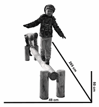 Balancierstamm 04 mit
                                      einbetonierten St�mmen, technische
                                      Masse, LoggyLand, Deutschland