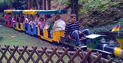 Parkeisenbahn
                              Ibbenb�ren 02 w�hrend der Fahrt