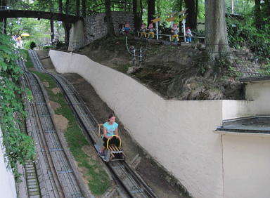Sommerrodelbahn
                              (Sommerschlittelbahn) Ibbenb�ren 03, Fahrt
                              auf der Rampe