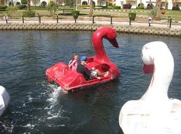 Wasserspiele 05, Pedalo
                            in Schwanenform in Hurgada am Roten Meer,
                            �gypten