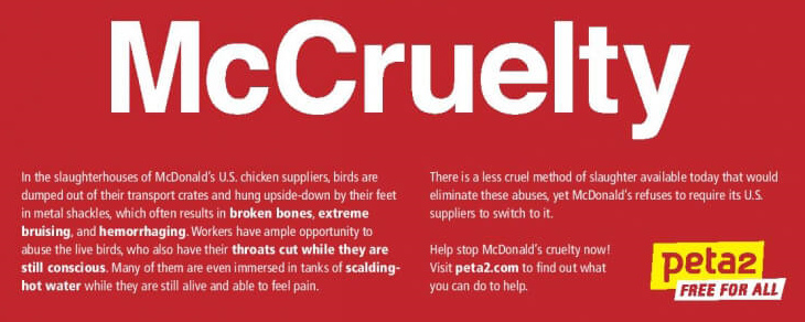 McDonalds-Tierqu�lerei, die
                    Schlachtmethode im Detail