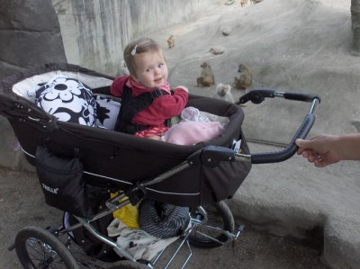 Kinderwagen: Das Kind sieht die
                                  stossende Person und kann umhersehen,
                                  wenn es daf�r alt genug ist