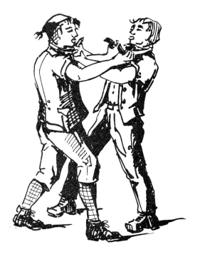 Schwingen: Kragenschwingen