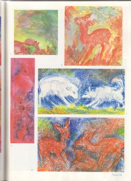 Tafel 38: Tierkunde 04 (5.-7. Schuljahr)