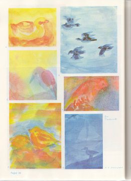 Tafel 39: Tierkunde 05 (5., 6.
                          Schuljahr)