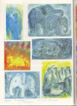 Tafel 51: Tierkunde 17 in Pflanzenfarben
                          03 (5.-8. Schuljahr)