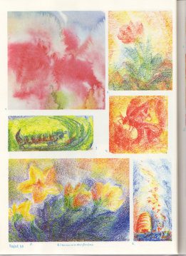 Tafel 53: Pflanzenkunde 01 in
                          Bienenwachsfarben