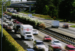 En los Estados y en
                        Canada (aqu�: California) hay la circulaci�n por
                        la derecha