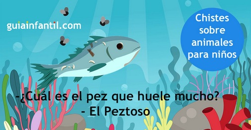 Chiste: el pez pestoso: ¿Cual es el pez que huele
mucho? - El Peztoso Chiste: el pez pestoso: ¿Cual
es el pez que huele mucho? - El Peztoso