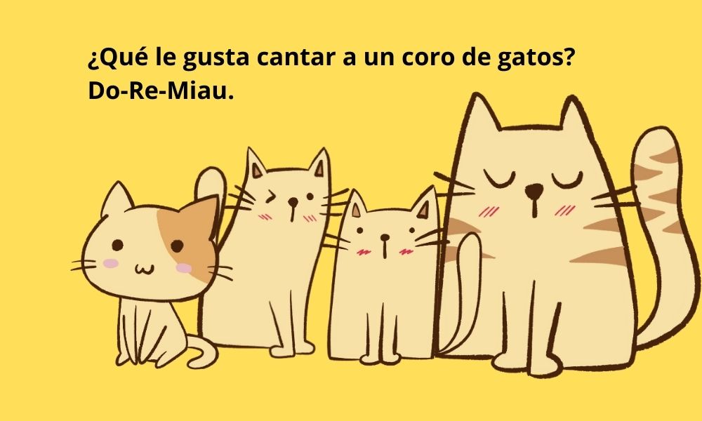 Chiste: gatos cantan: ¿Qué le gusta cantar a un
coro de gatos? Do-Re-Miau. Chiste: gatos cantan:
¿Qué le gusta cantar a un coro de gatos? Do-Re-Miau.