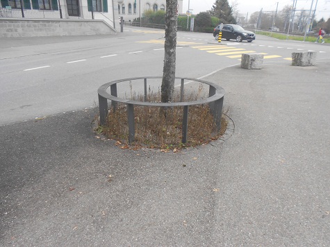 Rudiment�re Rundbank um Baum in
                        Uznach, Schweiz