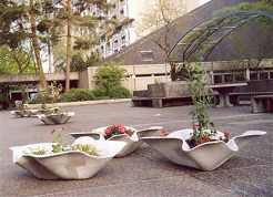 Untaugliche Blumenkübel, die nach
unten hin spitz zulaufen, sind eine
grosse Gefahr für Sehbehinderte: Der
Blindenstock entdeckt sie viel zu spät. Untaugliche Blumenkübel, die nach
unten hin spitz zulaufen, sind eine
grosse Gefahr für Sehbehinderte: Der
Blindenstock entdeckt sie viel zu spät.