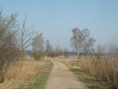 Der
                          Rundweg am Pf�ffikersee. An sch�nen Tagen
                          bel�stigen sich Fussg�nger und Velofahrer
                          gegenseitig, und ein zweiter Weg nur f�r
                          Velofahrer und Skater w�re ein Bed�rfnis.