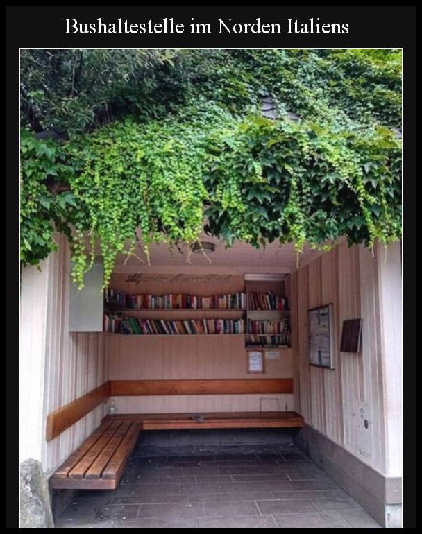 Norditalien am 2.11.2024: Bushaltestelle
mit Bibliothek für die Wartezeit Norditalien
am 2.11.2024: Bushaltestelle mit Bibliothek für
die Wartezeit