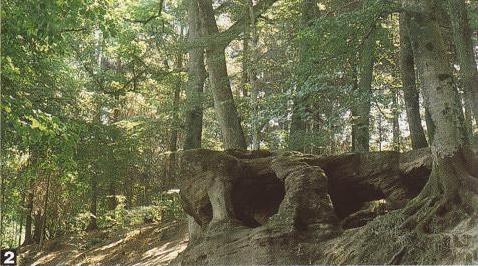 Ermitage im Wald der
                            Serre