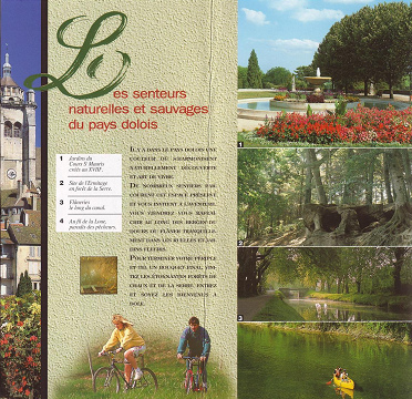 Der Prospekt von Dole mit den
                            Fotos, Teil 1