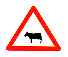 Verkehrszeichen: Gefahrsignal Achtung
                      Viehherde