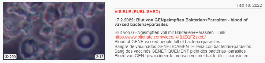 Video vom 18.2.2022: 17.2.2022: Blut von
GENgeimpften Bakterien+Parasiten - blood of vaxxed
bacteria+parasites Video vom 18.2.2022:
17.2.2022: Blut von GENgeimpften Bakterien+Parasiten -
blood of vaxxed bacteria+parasites